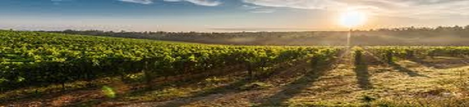 Jorpukuria High School - Slide